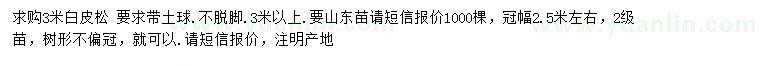 求購3米白皮松