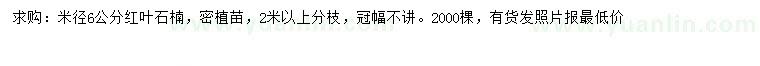 求購米徑6公分紅葉石楠