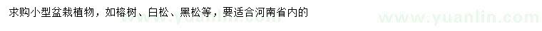 求購(gòu)榕樹(shù)、白松、黑松等小型盆栽