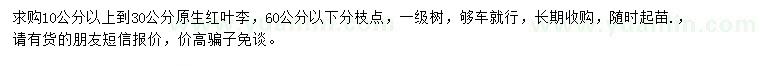 求購(gòu)10-30公分紅葉李