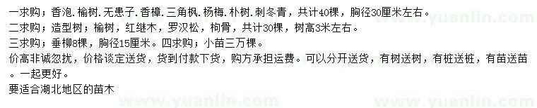 求購(gòu)香泡、榆樹(shù)、無(wú)患子等