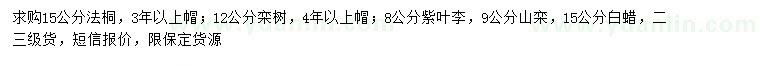求購法桐、欒樹、紫葉李等