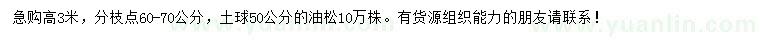 求購(gòu)高3米油松