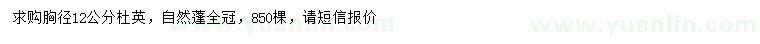 求購胸徑12公分杜英