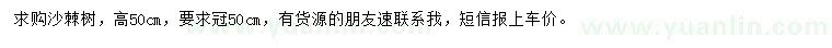 求購高50公分沙棘樹