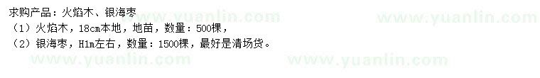 求購(gòu)18公分火焰木、高1米銀海棗