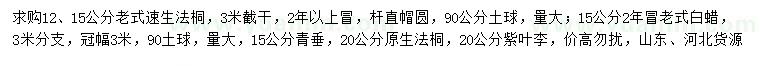求購老式速生法桐、老式白蠟、青垂等