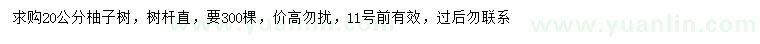 求購20公分柚子樹