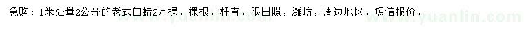 求購1米量2公分老式白蠟
