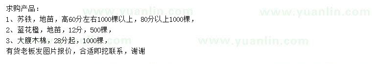 求購蘇鐵、藍花楹、大腹木棉
