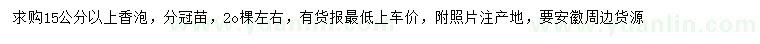 求購15公分以上香泡樹