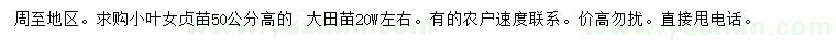 求購高50公分小葉女貞
