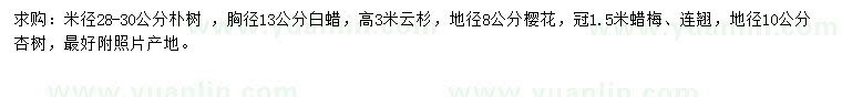 求購樸樹、白蠟、云杉等