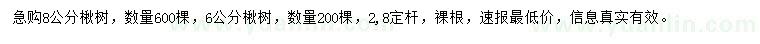 求購6、8公分楸樹