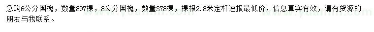 求購6、8公分國槐