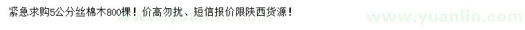 求購(gòu)5公分絲棉木
