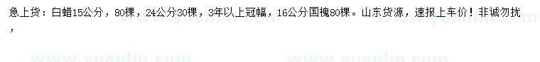 求購15、24公分白蠟、16公分國槐