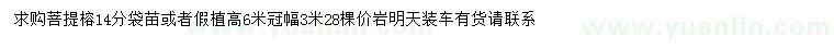 求購(gòu)14公分菩提榕