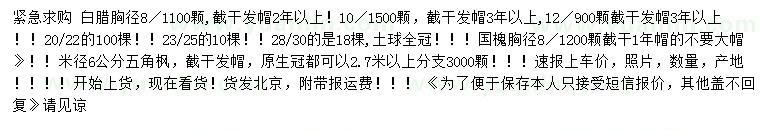求購(gòu)白蠟、國(guó)槐、五角楓等