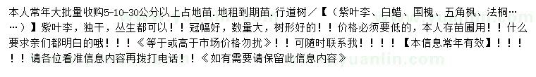 求購紫葉李、白蠟、國槐等