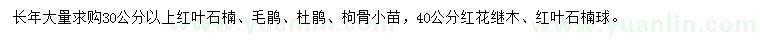 求購紅葉石楠、毛鵑、杜鵑等