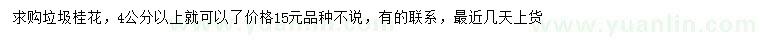 求購(gòu)4公分以上垃圾桂花