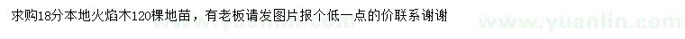 求購18公分本地火焰木