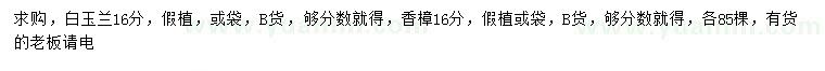 求購16公分白玉蘭、香樟