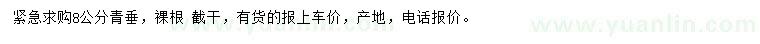求購8公分青垂
