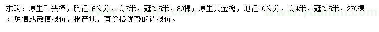 求購胸徑16公分原生千頭椿