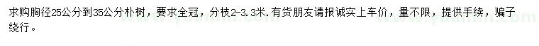 求購胸徑25-35公分樸樹