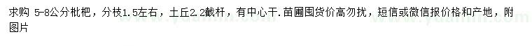 求購5-8公分枇杷