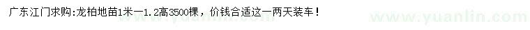 求購(gòu)高1-1.2米龍柏