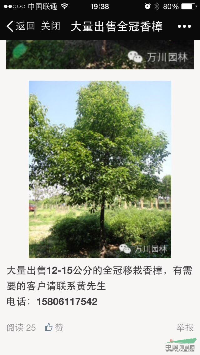 上海周邊