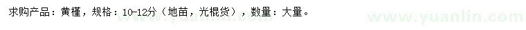 求購10-12公分黃槿