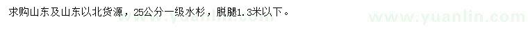 求購25公分水杉