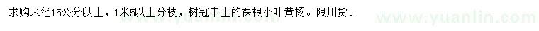 求購米徑15公分以上小葉黃楊