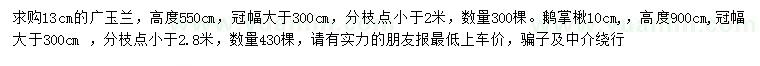 求購13公分廣玉蘭、10公分鵝掌楸