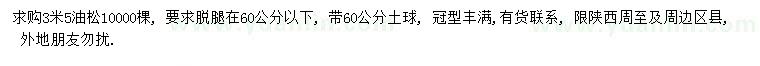 求購(gòu)3.5米油松