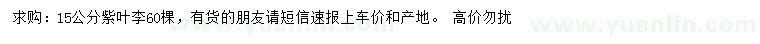 求購15公分紫葉李