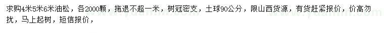 求購4、5、6米油松