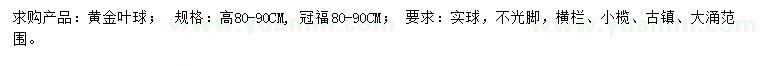 求購高80-90公分黃金葉球