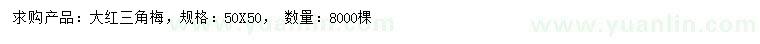 求購50公分大紅三角梅
