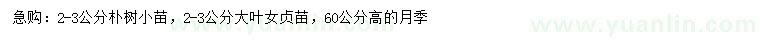 求購樸樹、大葉女貞、月季