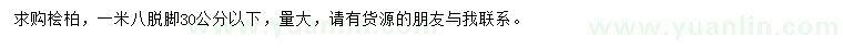 求購(gòu)30公分以下檜柏