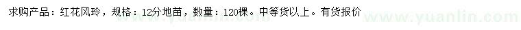 求購12公分紅花風玲