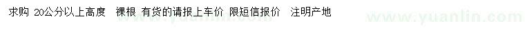 求購高20公分以上紅葉石楠