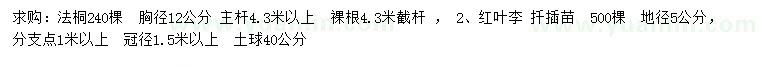 求購胸徑12公分法桐、地徑5公分紅葉李
