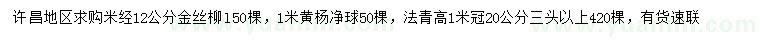 求購金絲柳、黃楊凈球、法青