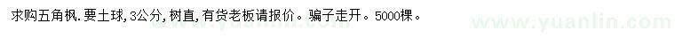 求購3公分五角楓